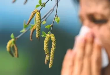 Аллергия на пыльцу или поллиноз