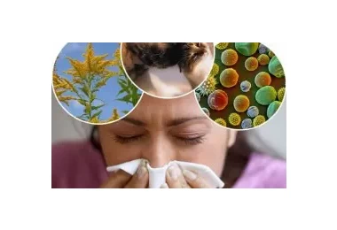 Почему возникла аллергия? Симптоматика и способы лечения