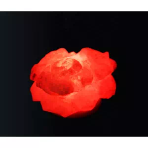 Букет роз, размер 20*15 см, вес 5-5,5 кг- цены в Лимане