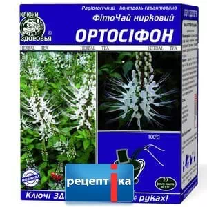 Фіточай КЗ ортосифон нирковий 1.5г ф / п №20- ціни у Южноукраїнську