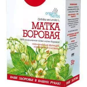 Фіточай Борова матка 30г- ціни у Нововолинську