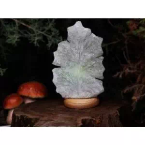 Лист дубовый, размер 12*21 см, вес 1,8-2 кг- цены в Каменское