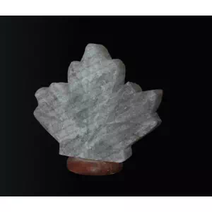 Лист кленовый канадский, размер 17*20 см, вес 3-3,5 кг- цены в Дрогобыче