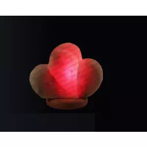 Сердце двойное маленькое, размер 15*15 см, вес 2,5-3 кг- цены в Мелитополь