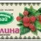 Фото - Фіточай Карпатська Лікарня Плоди малини пакети по 2.0г №20