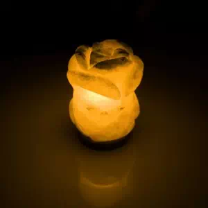 Соляная лампа SALTKEY ROSE (Роза) обычная 5,5 кг- цены в Вишневом
